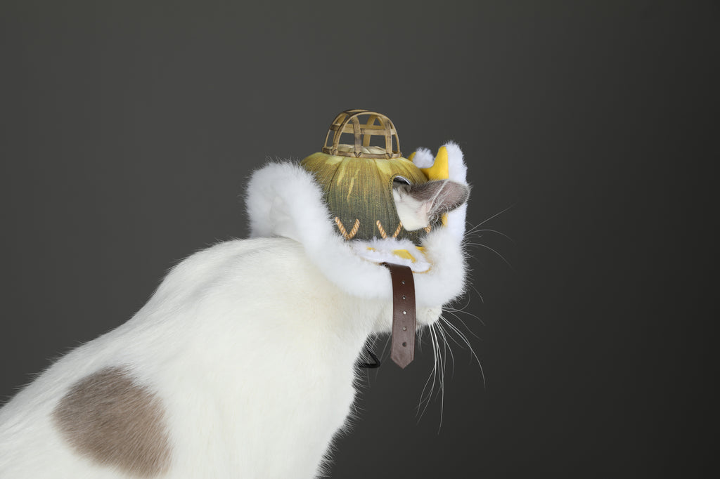 Palico Hoed Cosplay Kostuum voor Katten