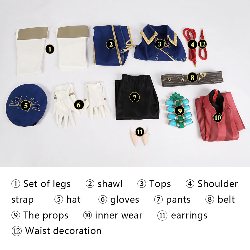 Link Koninklijke Garde Uniform Cosplay Kostuum