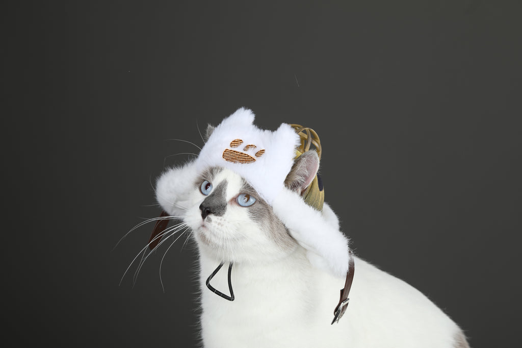 Palico Hoed Cosplay Kostuum voor Katten