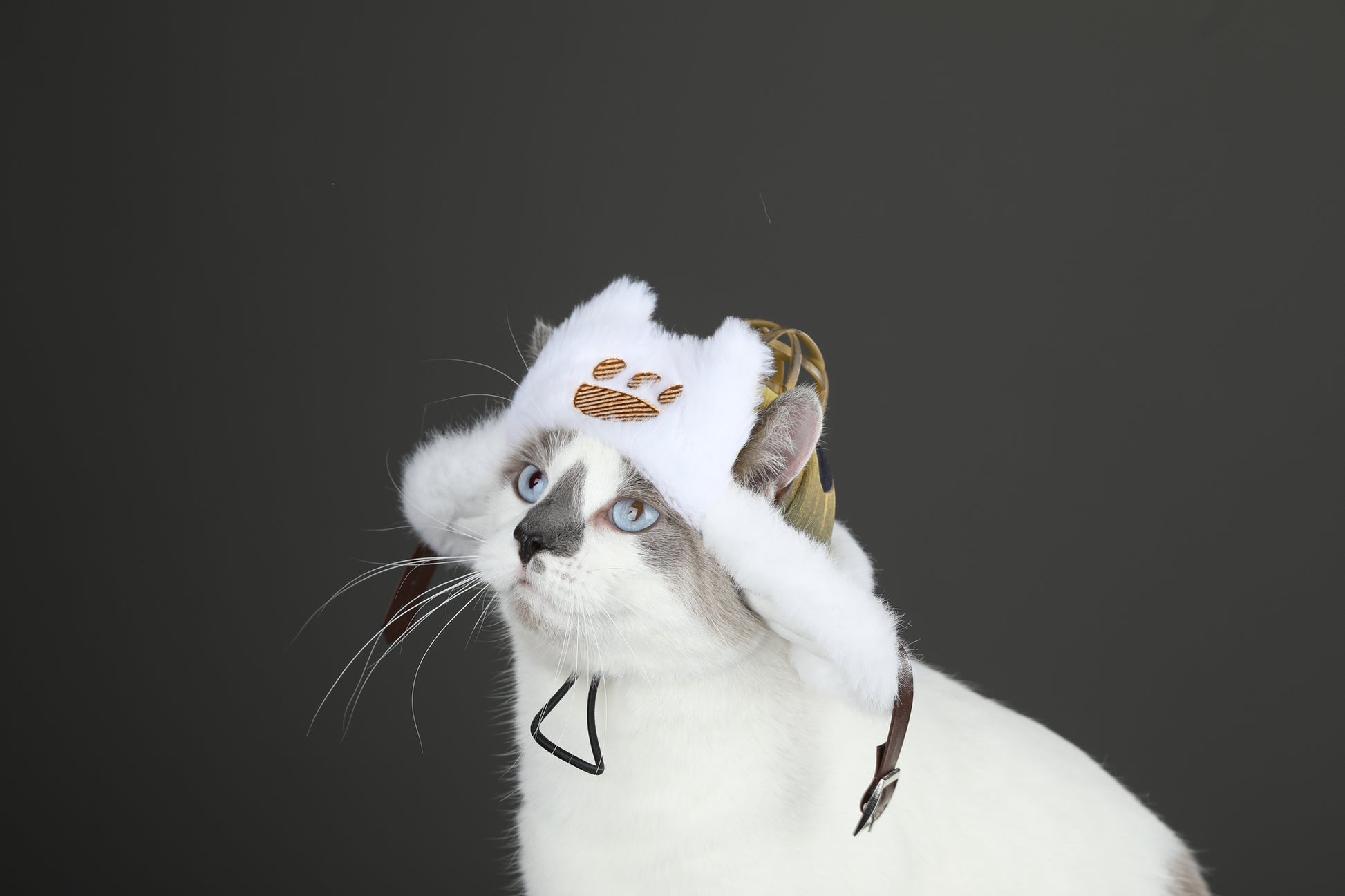 Palico Hoed Cosplay Kostuum voor Katten