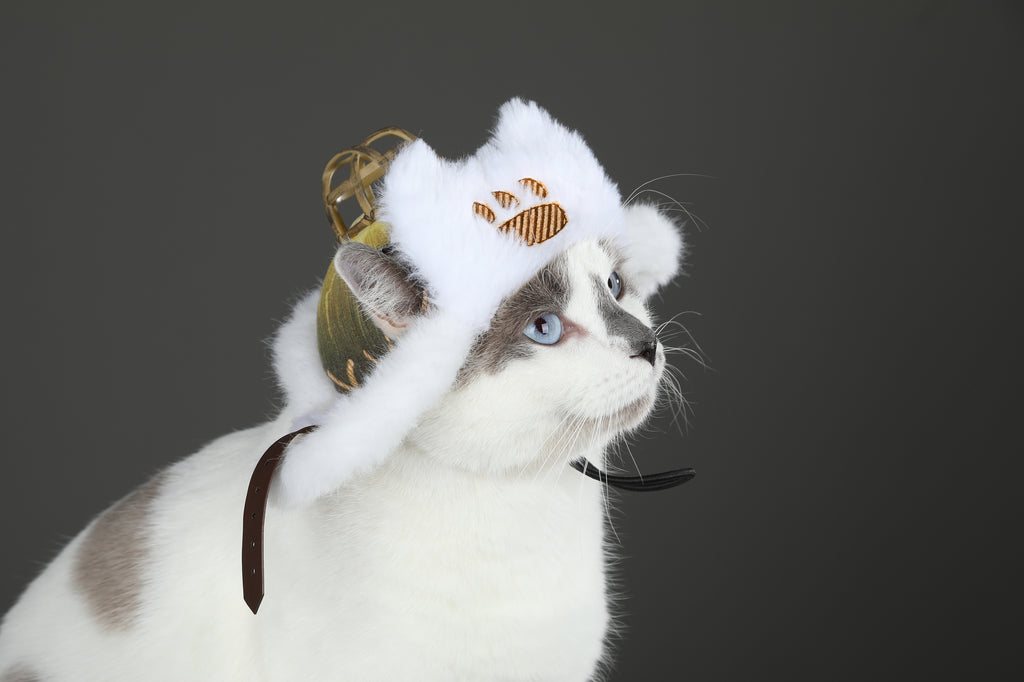 Palico Hoed Cosplay Kostuum voor Katten