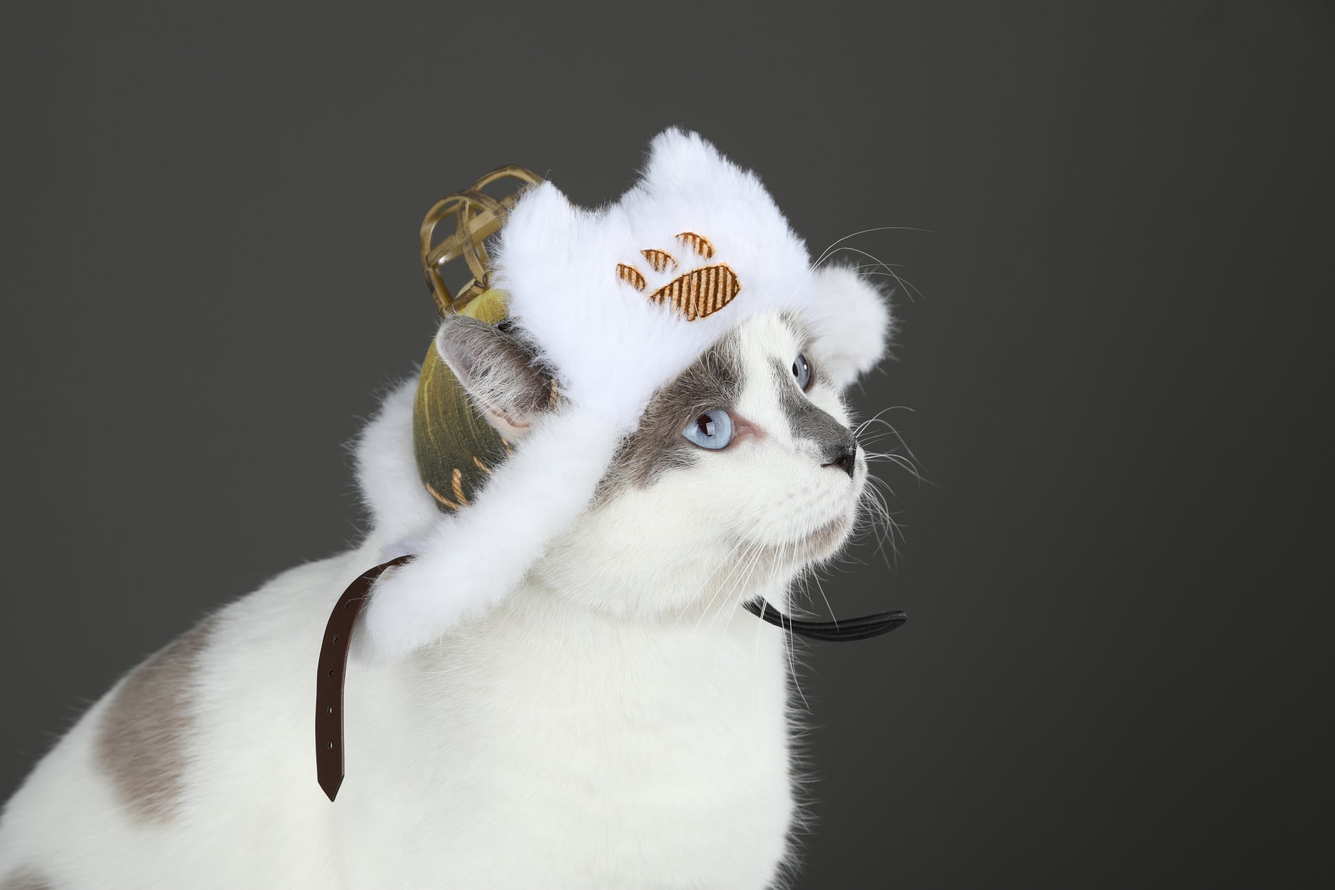 Palico Hoed Cosplay Kostuum voor Katten