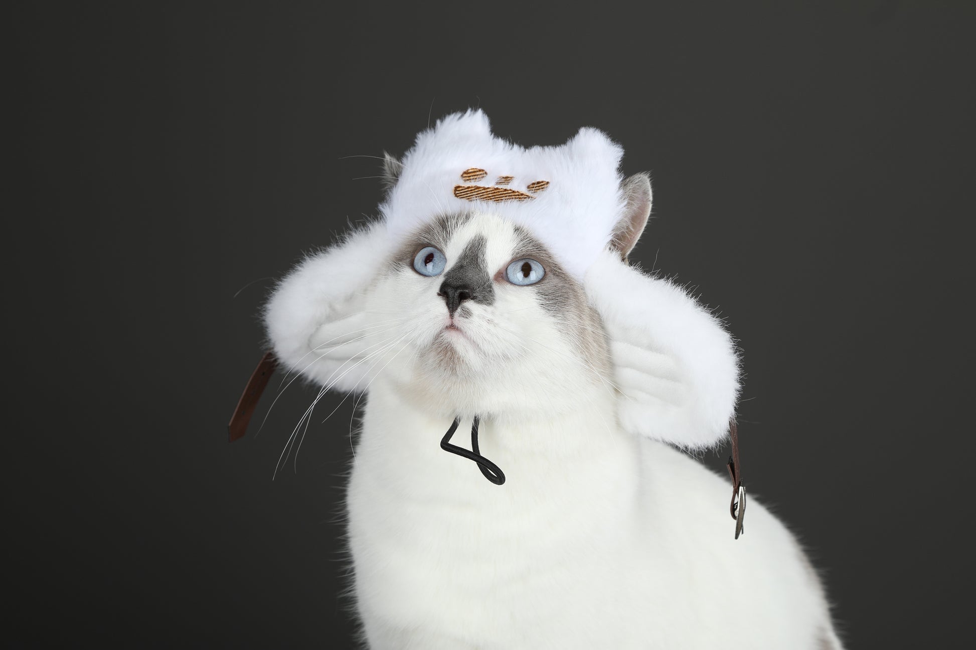 Palico Hoed Cosplay Kostuum voor Katten