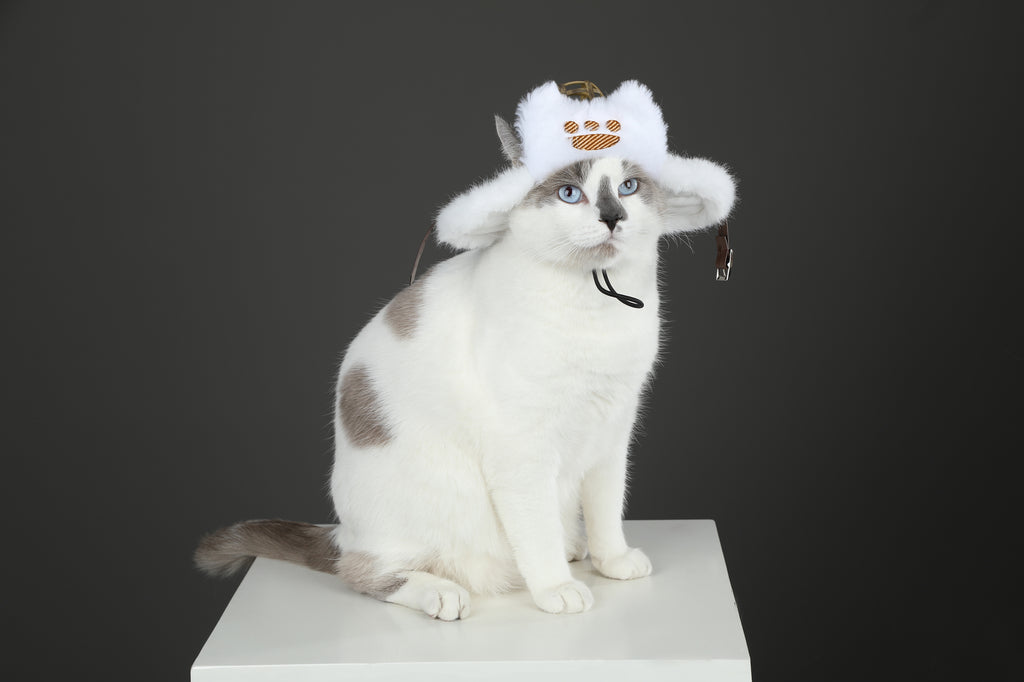 Palico Hoed Cosplay Kostuum voor Katten