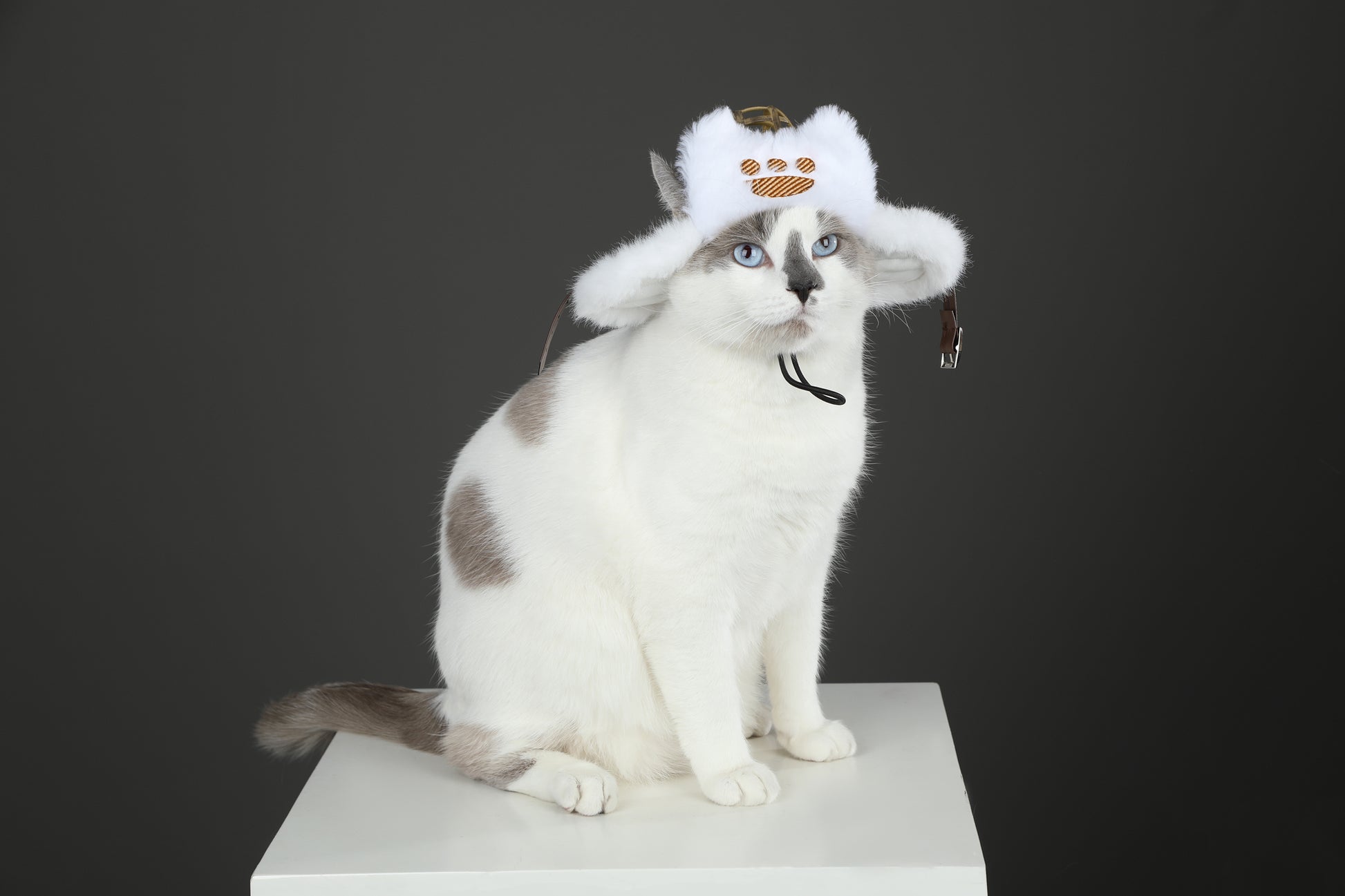 Palico Hoed Cosplay Kostuum voor Katten
